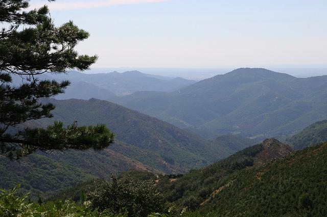 151 sentier de Coustorgues.JPG
